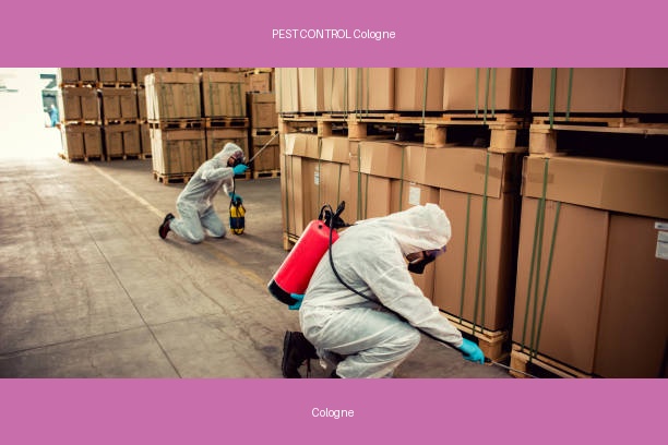 PEST CONTROL Cologne